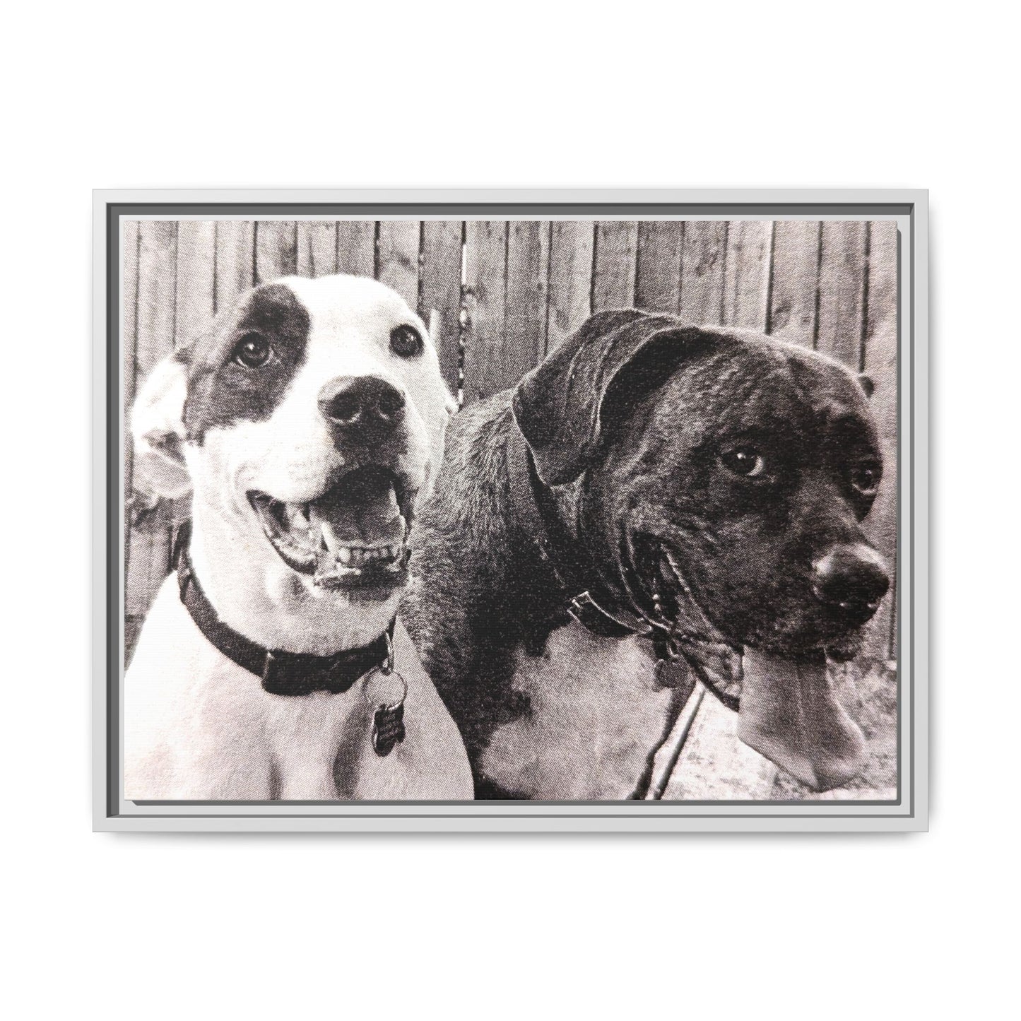 Framed Dog Portrait Canvas - Heartwarming Pet Artwork